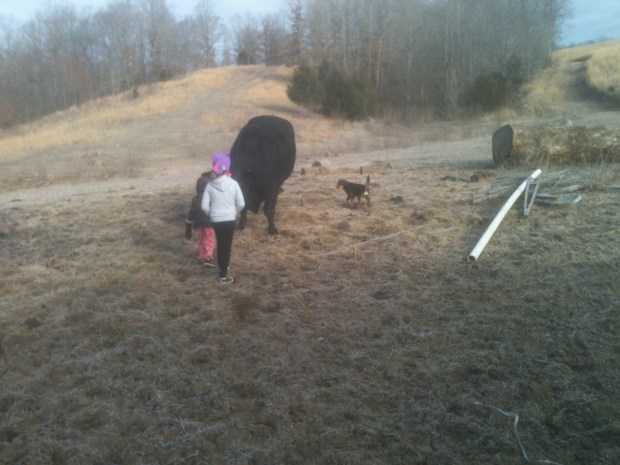 CHORE HELPERS  1-18-2014 002