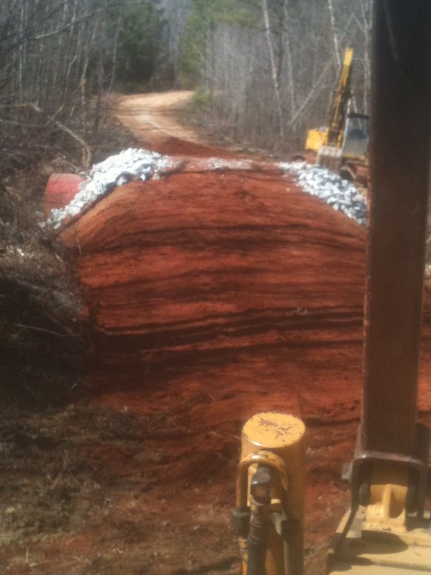 TIMBER TRACK BURN 2-28-2014 004